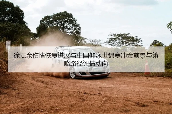 徐嘉余伤情恢复进展与中国仰泳世锦赛冲金前景与策略路径评估动向